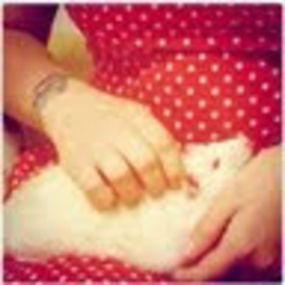 Meet your Posher, Rumpythebrave - Picture 1 of 1